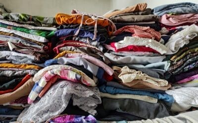 How to Choose the Right Dumpster Rental for Hoarding Cleanouts